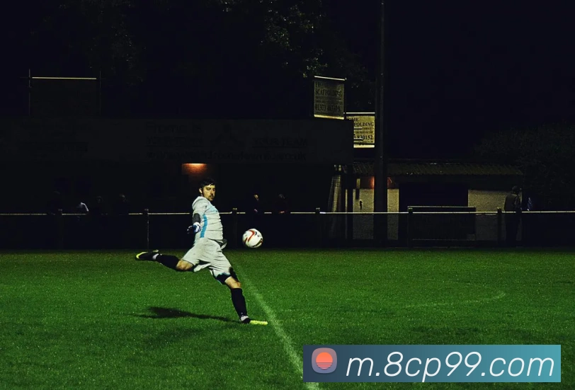 登录器